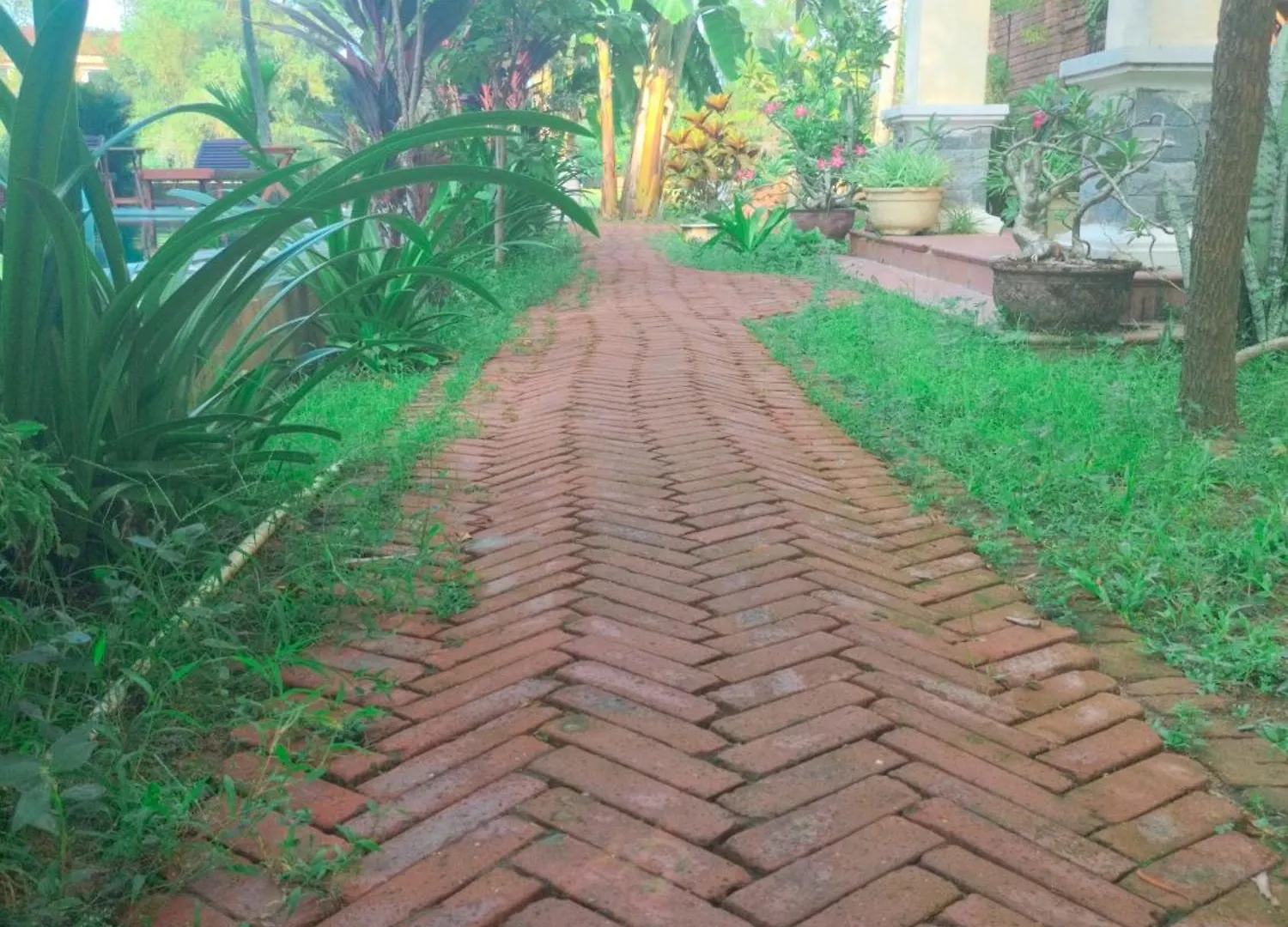 Lama Villa Hoi An Vietnam